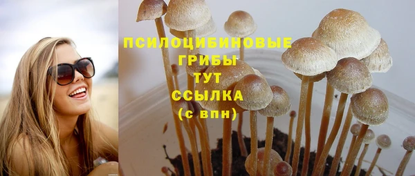 дурь Покровск