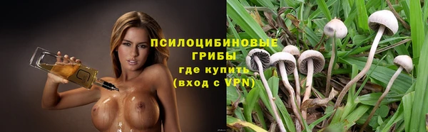 ECSTASY Покачи
