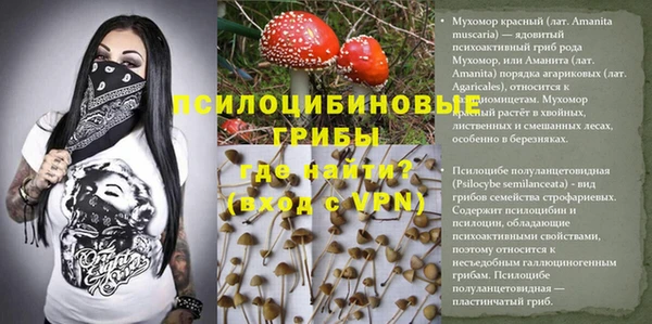 эйфоретик Покров